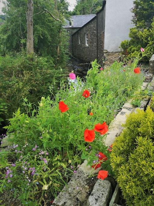 Riverside Cottage At Logwood Mill Ballyclare Exterior photo